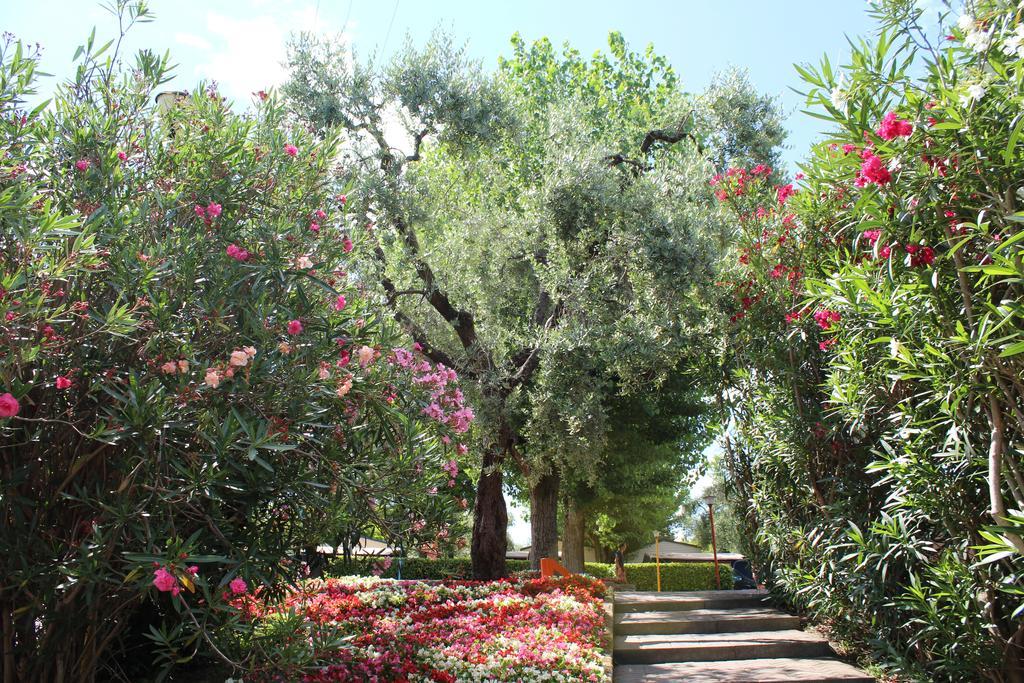 Camping Cisano - San Vito Bardolino Extérieur photo